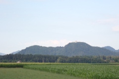 P7170068