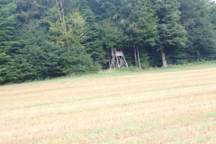 P7170117