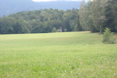P7170126