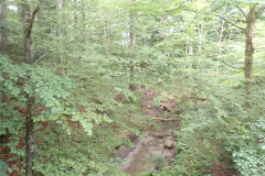 P7170137