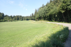 P7170180