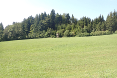 P7170182