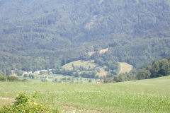 P7170184