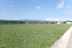 P7170194