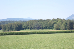 P7170195